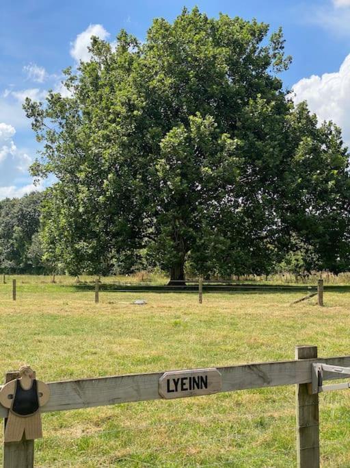 Lyeinn - Newstead Country Retreat Buitenkant foto